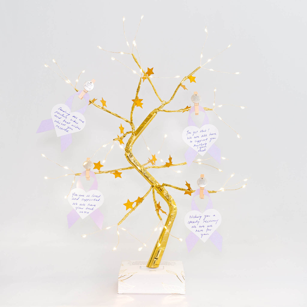 All Cancers Gift - THE ORIGINAL WISHING TREE