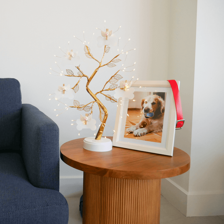 Rainbow Bridge Wishing Tree - THE ORIGINAL WISHING TREE